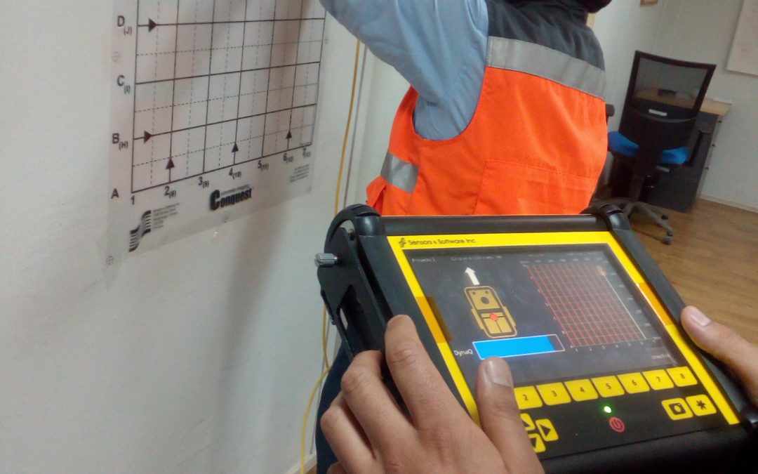 Capacitación avanzada con equipos Noggin 100/250 MHz